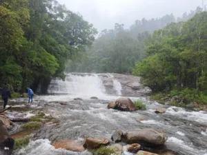 unnamed - 2025-09-21T174803.892